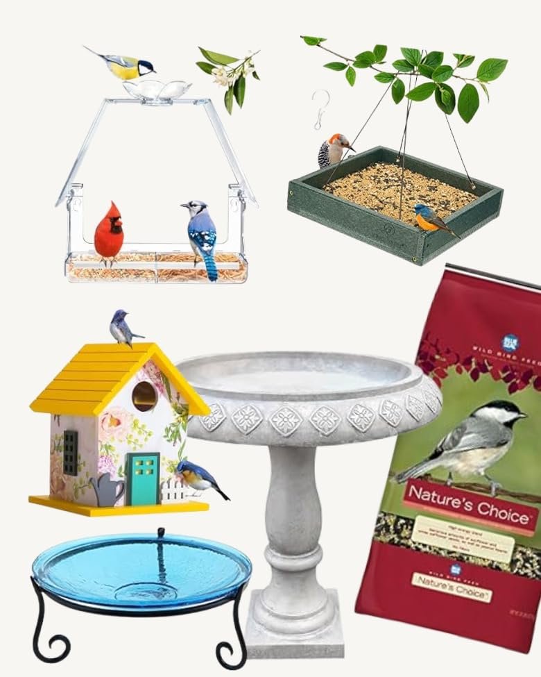 A birds happy home!