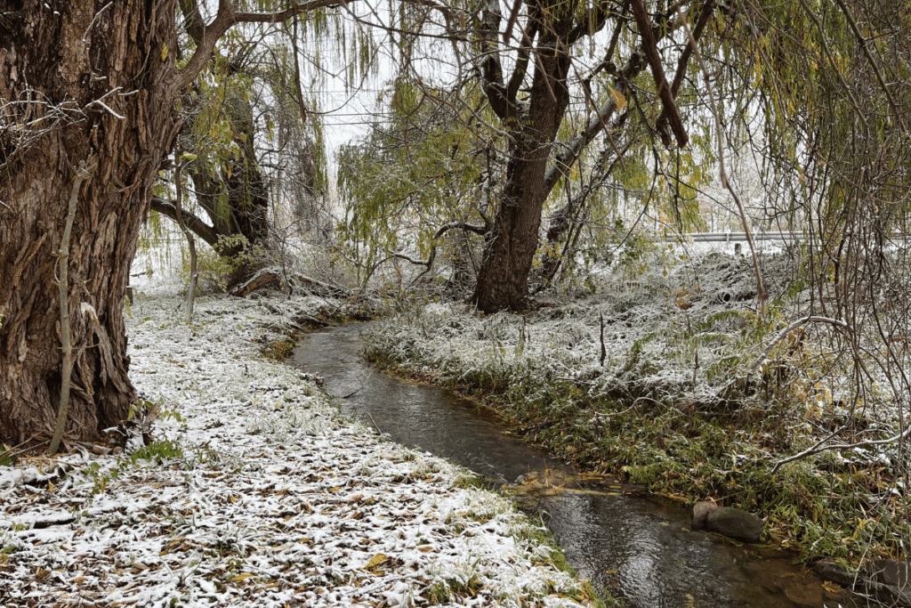 creek flowing through my yard it never has to avoid avoiding