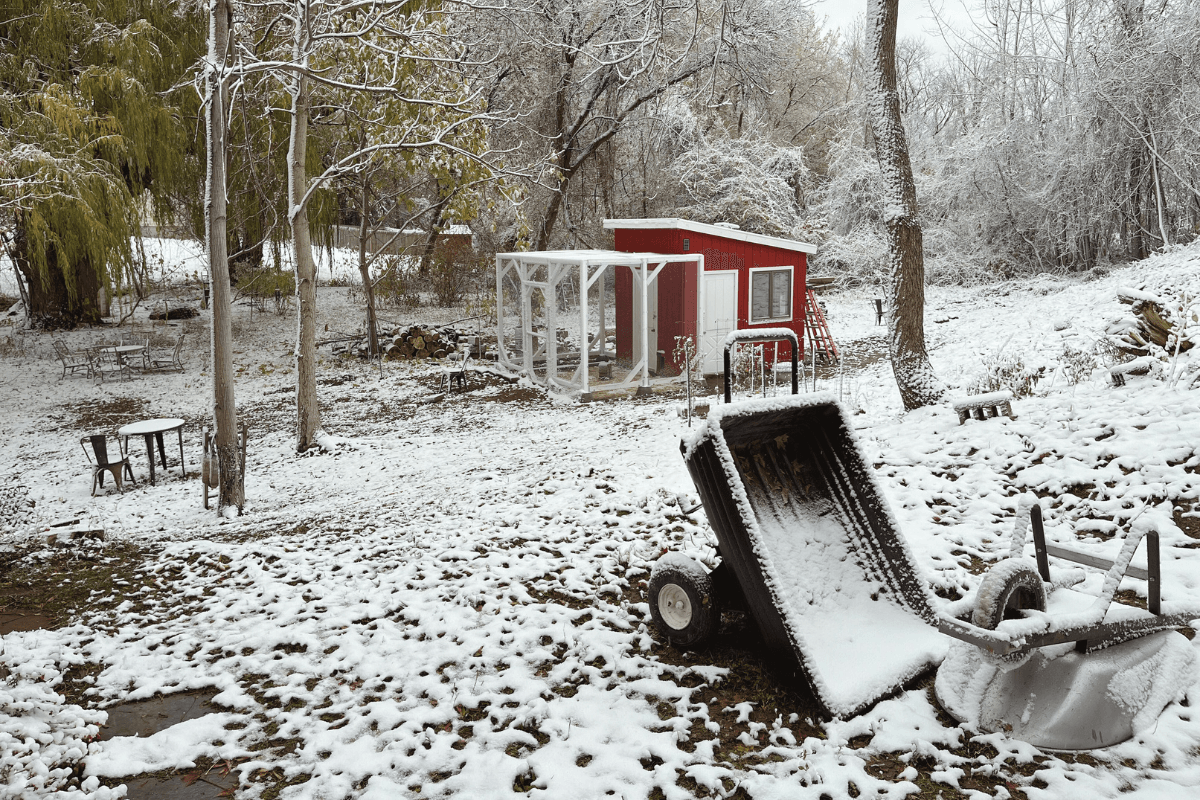 Avoid Avoiding Your True Focus — Choose Less, Live More